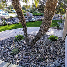 Southwest Boulder & Stone Landscape Rock and Pebble | 2000 Pounds | Natural, Decorative Stones and Gravel for Landscaping, Gardening, Potted Plants, and More (Arizona, 3/8 Inch)