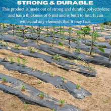 VBS - Weed Control 6 Mil Black Plastic Sheeting - Heavy Duty Weed Barrier Landscape Fabric for Outdoor Gardens, Non Woven Weed Blocker Fabric, Weed Control, Black Plastic Sheeting (24' x 150')