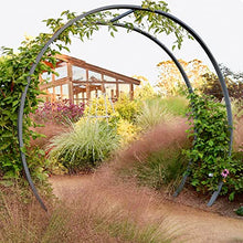 TERRA TRELLIS Gracie Modern Arbor Moongate for Outdoor Plants | Garden Arch Climbing Vines Trellis | Modern, Steel & Durable Metal Round | Regular (Charcoal)