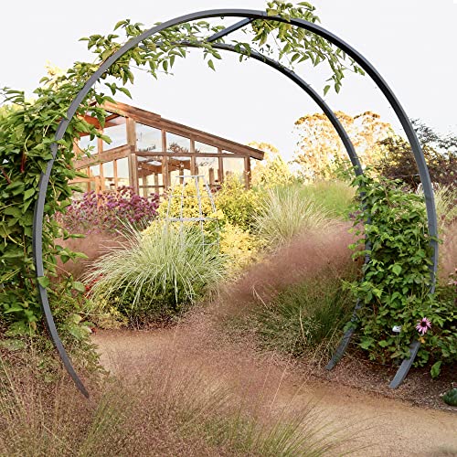TERRA TRELLIS Gracie Modern Arbor Moongate for Outdoor Plants | Garden Arch Climbing Vines Trellis | Modern, Steel & Durable Metal Round | Regular (Charcoal)