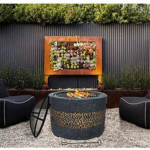 Outdoor Brazier Outdoor Party Courtyard Garden Villa Charcoal Roasting Stove Barbecue Grill Household BBQ Fire Pit Beautiful and Practical (Color : Black, Size : 55.5x55.5x46cm) (Black 55.5x55.5x46cm)