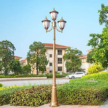 Lamp Post Lights Outdoor,Led Lawn Lamp Outdoor High Pole Lamp Community Path Light Garden Landscape Lamp Lighting European Victorian Victorian Style Villa 2.6 Meters Courtyard Street Lamp