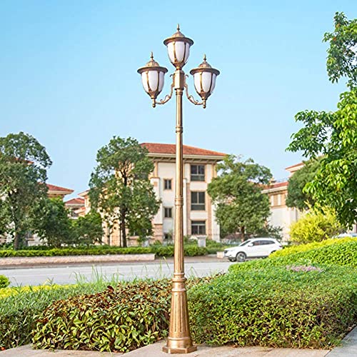 Lamp Post Lights Outdoor,Led Lawn Lamp Outdoor High Pole Lamp Community Path Light Garden Landscape Lamp Lighting European Victorian Victorian Style Villa 2.6 Meters Courtyard Street Lamp