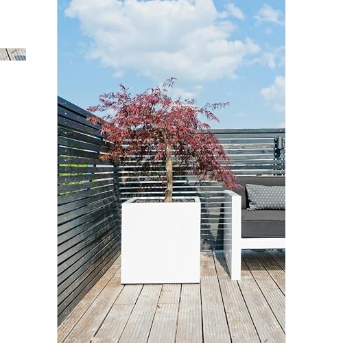 Modern Ceramic Planter - Stylish Home Decor Indoor/Outdoor Plant Pot - 20 Inch Square White Planter - Perfect for Home, Balcony, Deck, Patio or office - Great for Succulents Flowers and Herbs