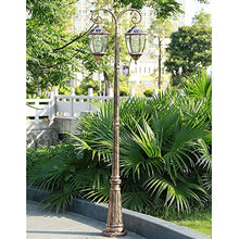 iumLeap 98In 250Cm Garden Lamp Post Light Pillar Post Light Outdoor Pillar Lamp 2-Head Bollard Path Lamp Waterproof Ip65 Street Light Glass Lantern Mains Powered Pillar High (86in/220cm)