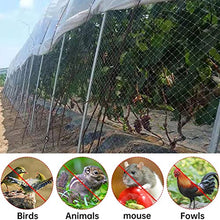 ZAVEIL Reusable Anti Bird Protection Net, Agricultural Plant Covers Netting for Orard/Farmland/Fish Ponds, White Translucent Nylon Fabric, Doesn't Tangle (Size : 25x30m/82.0x98.4ft)