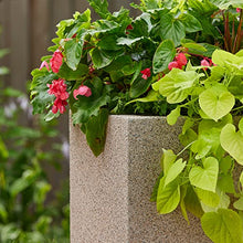 PolyStone Argentine Modern Outdoor/Indoor Rectangular Trough Planter - 36" x 16" x 16" H - Lightweight Weather Resistant Stone-Look Resin Planter - Commercial & Residential - Sandstone Granite