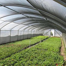 Farm Plastic Supply VBS Gray Shade Cloth 75% Mesh Fabric 12' x 250' Green
