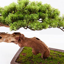 Artificial Bonsai Artificial Plants Bonsai Tree Indoor Wood Welcoming Pine Bonsai Zen Decorative Bonsai with Ceramic Pots Living Room Corridor Decor for Home Office
