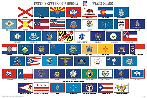AES 3x5 Set USA 50 States Plus US Territories (57 flags in all) Super Polyester Fade Resistant Double Stitched Premium Penant House Banner Grommets