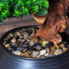 QWERAXZG Simulation Bonsai Welcome Pine Solid Wood Green Plant Decoration Living Room Entrance