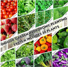 RWGOVLU Garden Hydroponic Growing System 15/20/25/30 Pods Hydroponics Tower Apartment Grow Kit Aquaponics Planting System with Hydration Pump, Adapter, Network Pots, Herbs Timer