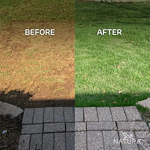 Natura Outdoor Artificial Grass for Dogs 3x45 ft Green