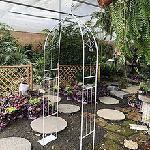 Garden Arch Trellis Archway, Outdoor Garden Lawn Backyard Patio Metal Stand Trellis for Climbing Plants Roses Vines Support Rack, Black (Big White)