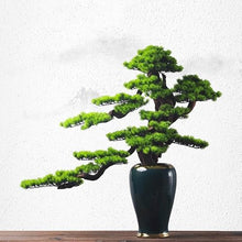 QWERAXZG Green Plant Decoration Office Home Living Room Vestibule Cabinet Gifts Hotel Soft