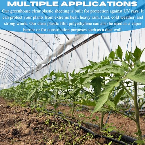 Farm Plastic Supply Vapor Barrier Clear Greenhouse Plastic Sheeting 10 Mil 42' x 100'