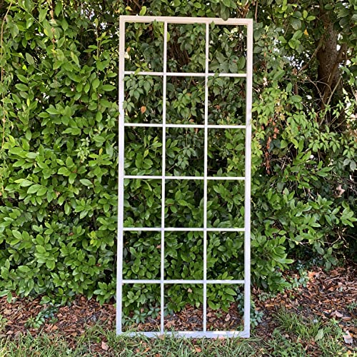 Classic Metal Garden Trellis, Wall Mounted, Plant Trellis, All Aluminum, White Powder Coated, Handmade, 65" x 27", Garden Decor, Yard Art