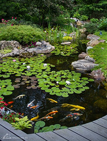 Aquascape 29024 PVC Pipe 2" X 50' Flexible for Pond Water Feature Waterfall Landscape and Garden