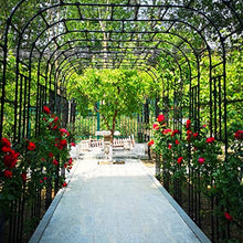 Large Garden Arch, Weatherproof Rose Arch,Plants Climbing Pergola Arch Arbor,High Performance Garden Arches,for Indoor, Outdoor, Garden, Lawn, Backyard, Patio, Porch, Etc (Black 400cm/157.4in)