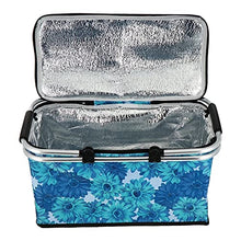 FMOPQ Large Capacity Lunch Basket Collapsible Insulated Picnic Bag Folding Basket Camping Bag (Color : B) (B)