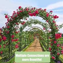 GFSGHZZ Metal Garden Arch Trellis for Climbing Plants - Sturdy Tubular E 220X230X40Cm - T for Backyardlnpatiocourardweddings,Green-340X230X40Cm