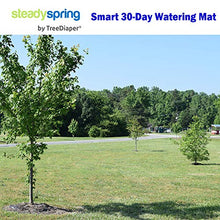 SteadySpring 24" Smart Tree Watering Mat Auto Refills Rain Slow Release Technology