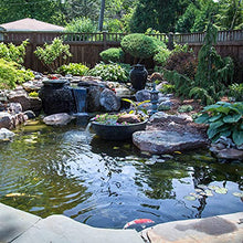 Aquascape PRO Grade EPDM Boxed 45 Mil Liner for Pond, Waterfall, and Water Features 20 x 25 Feet Black