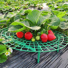 SIDUFHAOPKLL Strawberry Balcony Planting Rack Fruit Support Plant Flower Climbing Vine Pillar Gardening Stand