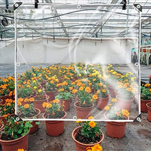 Clear Tarps with Metal Grommets, Heavy Duty Waterproof PVC Transparent,for Greenhouse Plant Cover,Tarpaulin Clear Vinyl, 0.3mm Clear Awning, for Covering Garden Plant Camping Supplies(Custom Size)