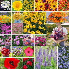 Eden Brothers Northeast Wildflower Mixed Seeds for Planting, 25 lb