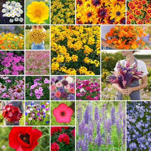 Eden Brothers Northeast Wildflower Mixed Seeds for Planting, 25 lb