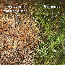 Natural Armor Weed & Grass Killer (55 Gallon Drum)