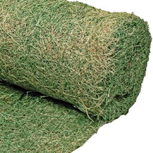 Dewitt 8-Pack Single Net Excelsior Blanket, Green, 4 x 112.5 Feet – Aspen Wood Fiber Erosion Control Mat with Netting for Soil Protection, Grass & Seed Establishment, Ground Cover and Landscaping