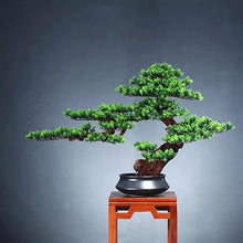 QWERAXZG Simulation of Green Plant Welcome Pine Bonsai Porch Living Room Tea Interior Decoration