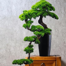 QWERAXZG Simulation Welcome Pine Decoration Villa Living Room Porch Beauty Cliff Cypress Rockery Bonsai