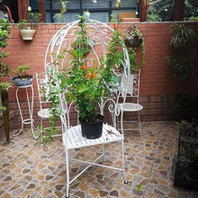 Garden Bench European Style Metal Outdoor Leisure Chairs, Creative Balloon Style Art Park Chairs, Balcony Courtyards Princess Chair Climbing Vine Chair Outdoor Benche