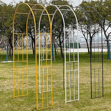 Metal Garden Arch Wedding Arch, Iron Arbor for Climbing Plants, Roses Vines, Outdoor Pergola for Backyard Decoration(3m/9.8ft)