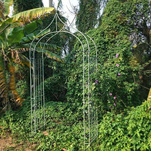 SDdPulse Retro Garden Arch, Metal Rose Arch Arbor,Climbing Plants Decoration Pergola Arbor,for Outdoor Lawn/Terrace/Garden Entrance,Easy to Assemble,2 Styles (Antique White A)