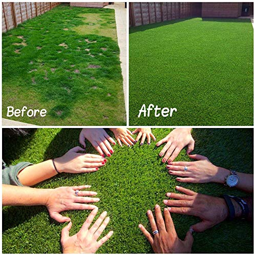 Moxie Direct Realistic Artificial Grass Turf 6FT x 55FT