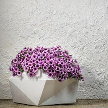 Crescent Garden Modern Geometric Origami Planter, Plant Pot, 23-Inch (Caviar Black)