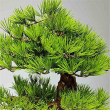YXIANG56Q Fake Plants Faux Plants Indoor Chinese-Style Artificial Green Bonsai Realistic Fake Decor Bonsai Tree