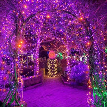 SHANJIA 2 Pack Upgrade Solar String Lights, 102M 1000LED Outdoor Light String with USB/8 Modes Waterproof for Trees Patio Fence Party Solar Christmas Light String (Purple+Orange)