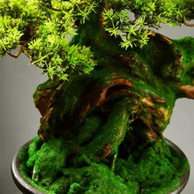 YXIANG56Q Fake Plants Floor Artificial Bonsai Tree Hotel Clubhouse Entrance Decoration Fake Plants Potted Plants Bonsai Tree