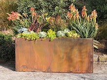 Nice Planter Corten Steel Trough Planter, 20" x 46" x 20"