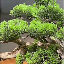 YXIANG56Q Fake Plants Artificial Pine Bonsai Tree, Realistic Indoor for Office, Low Maintenance Faux Greenery Bonsai Tree