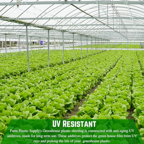 Farm Plastic Supply String Reinforced 10 Mil Clear Greenhouse Plastic Sheeting 32' x 100'
