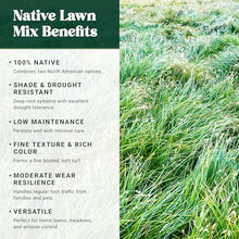 Nature’s Seed Native Fine Fescue Grass Seed Mix Blend, Shade and Drought Tolerant, Cool-Season, for Lawn, Home Garden, Yard, Meadow Landscape, 5 Lbs