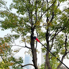 SGYYOFDP Garden Cordless High Branch Saw Lithium Battery Cordless Electric Telescope Long Pole Chainsaw with Extension Rod