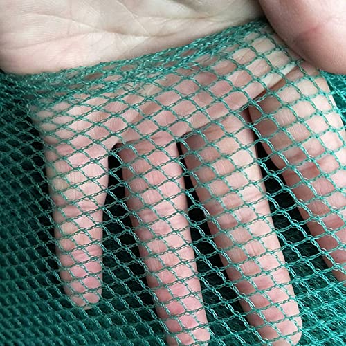 ERRULAN Green Bird Netting for Berry Bushes, Garden Trellis Netting for Plants/Fruit Trees/Vegetables/Animals, Nylon Chicken Wire Fence Mesh (Color : Wxh, Size : 12x20/39.4x66ft)