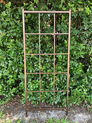 Classic Metal Garden Trellis, with 12" Ground Stake, Plant Trellis, All Aluminum, Handmade, 65" x 27", Garden Decor, Yard Art